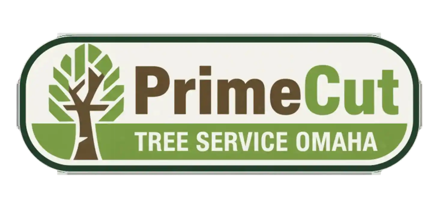 Tree service company in Omaha