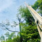 An arborist from PrimeCut Tree Service uses a large crane to safely remove sections of a mature tree in Omaha, NE.