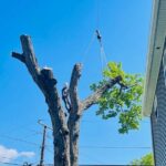 PrimeCut Tree Service arborist and crane perform a technical tree removal, safely navigating power lines and a house in Omaha, NE.
