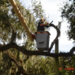 An arborist from PrimeCut Tree Service in Omaha uses a chainsaw from a bucket truck to trim large, moss-covered tree branches.