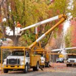 The PrimeCut Tree Service Omaha fleet, including two bucket trucks, trimming large trees with colorful fall foliage on a residential street.