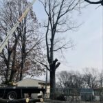 A PrimeCut Tree Service crane arm extends over an Omaha backyard during a large residential tree removal, with cut logs on the lawn.