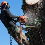 PrimeCut Tree Service arborist in full safety gear using a chainsaw to cut a large tree trunk against a blue sky in Omaha.